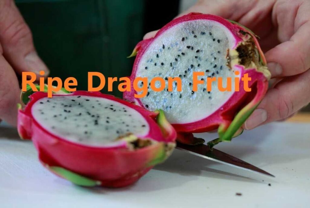 Ripe Dragon Fruit